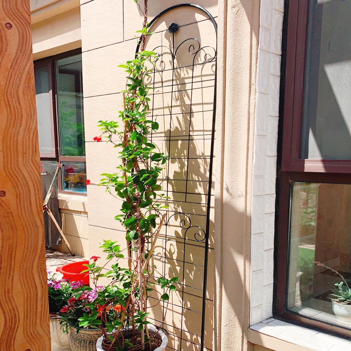 Strong Metal Garden Trellis for Climbing Plants – Outdoor Plant Support & Garden Decor